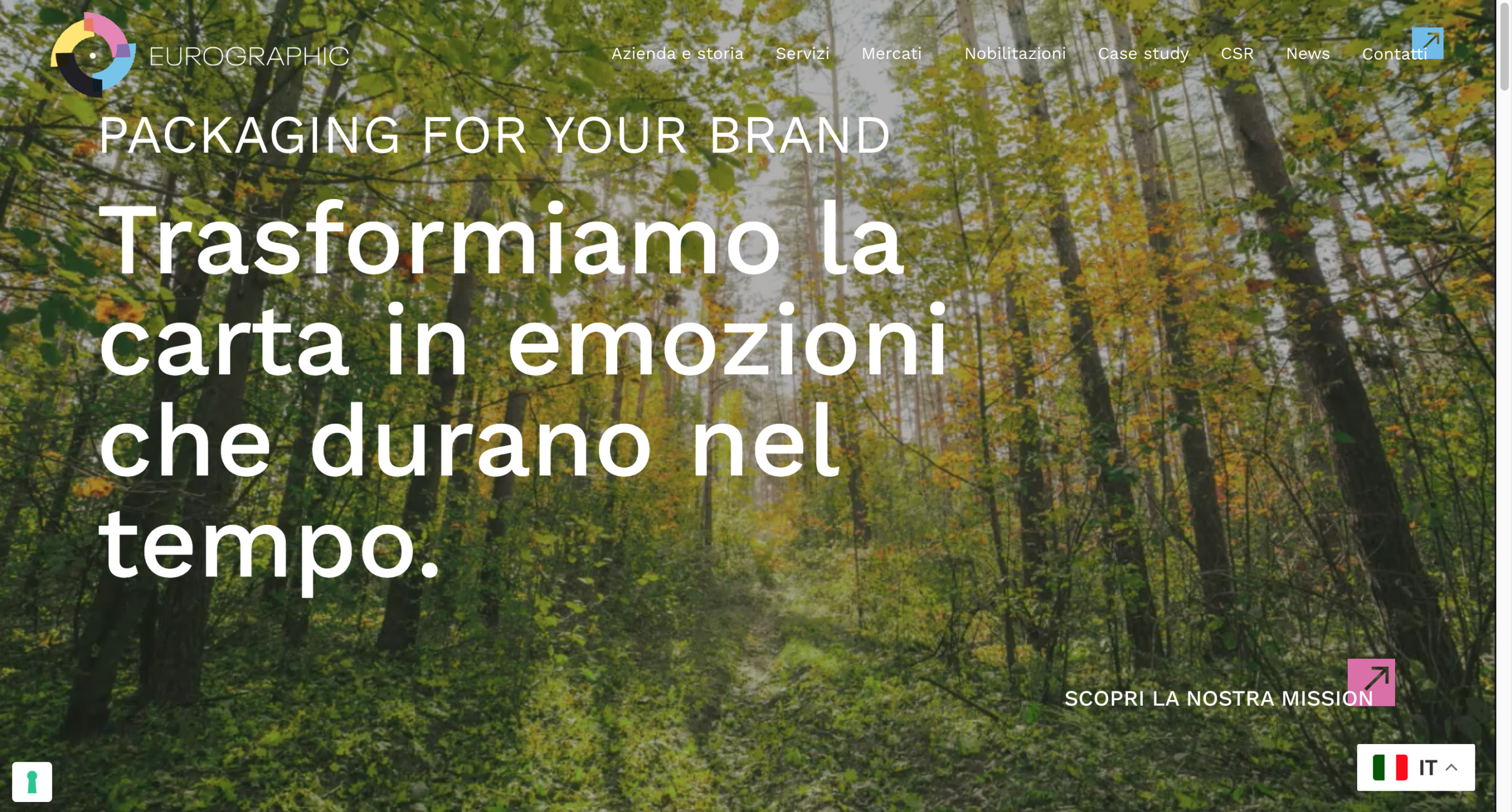 Realizzazione sito web Eurographic